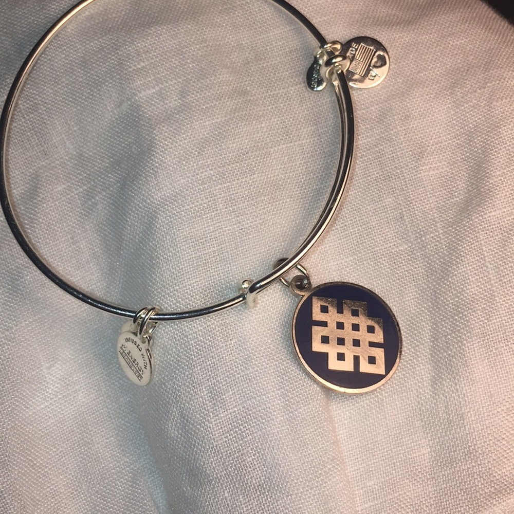 Alex and Ani bracelet with blue graphic charm